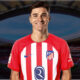 julian-alvarez-atletico-madrid-transfer